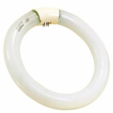 HARDWARE EXPRESS Satco Compact Fluorescent Lamp T9 Circline- 4100K 2474167